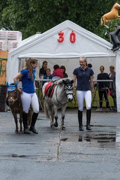 Bild 42 - Reitsport Scheune 30 am 25.6.16